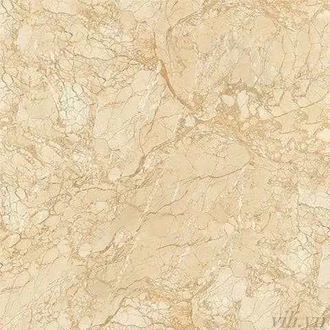 Gạch lát nền 100X100 BD 54001 đá Bóng