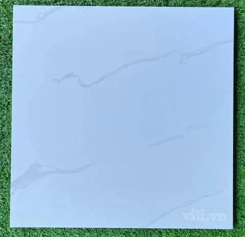 Gạch lát nền 30X30 Blue Dragon 11300 đá nhám