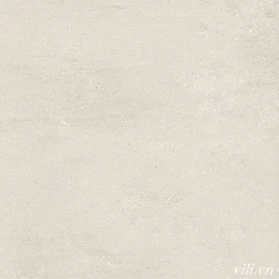 Gạch lát nền 60X60 Blue Dragon 11605 đá mờ